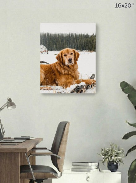 Canvas 16x20 room mockup