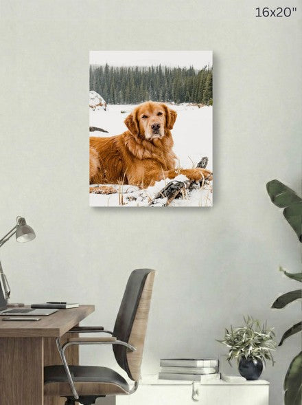 Canvas 16x20 room mockup