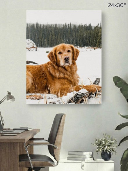 Canvas 24x30 room mockup