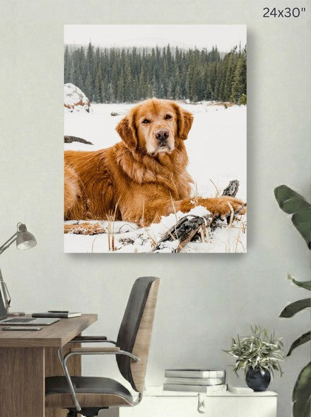 Canvas 24x30 room mockup