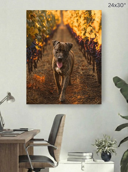 Canvas 24x30 room mockup