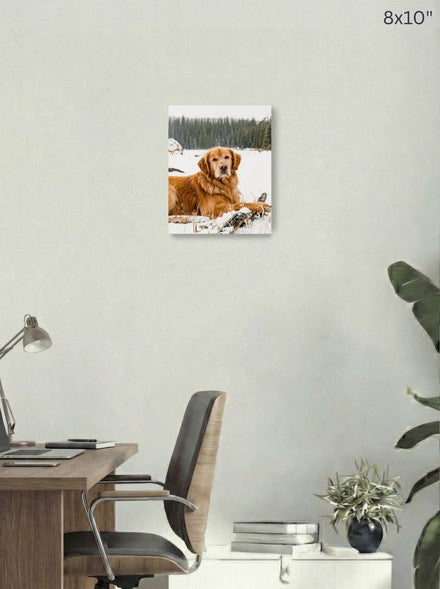 Canvas 8x10 room mockup