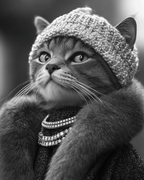 Chanel Catwalk