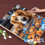 Puzzle Pup