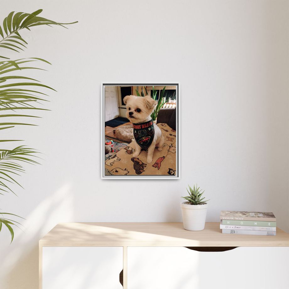 Framed 16x20 White context