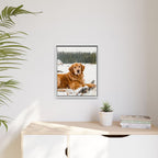 Framed 16x20 White context