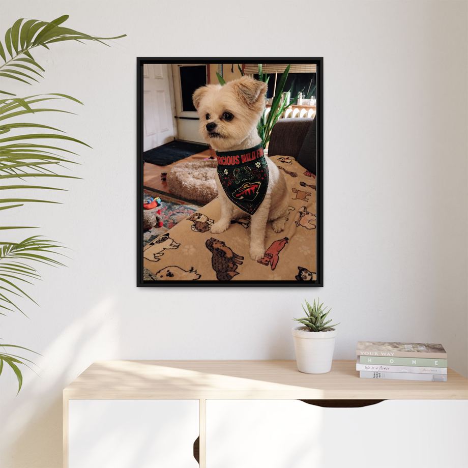 Framed 24x30 Black context