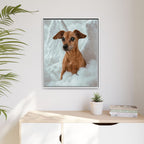 Framed 24x30 White context