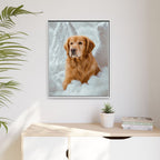 Framed 24x30 White context