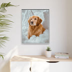 Framed 24x30 White context