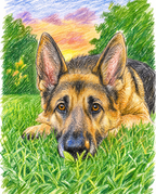 Original Art
