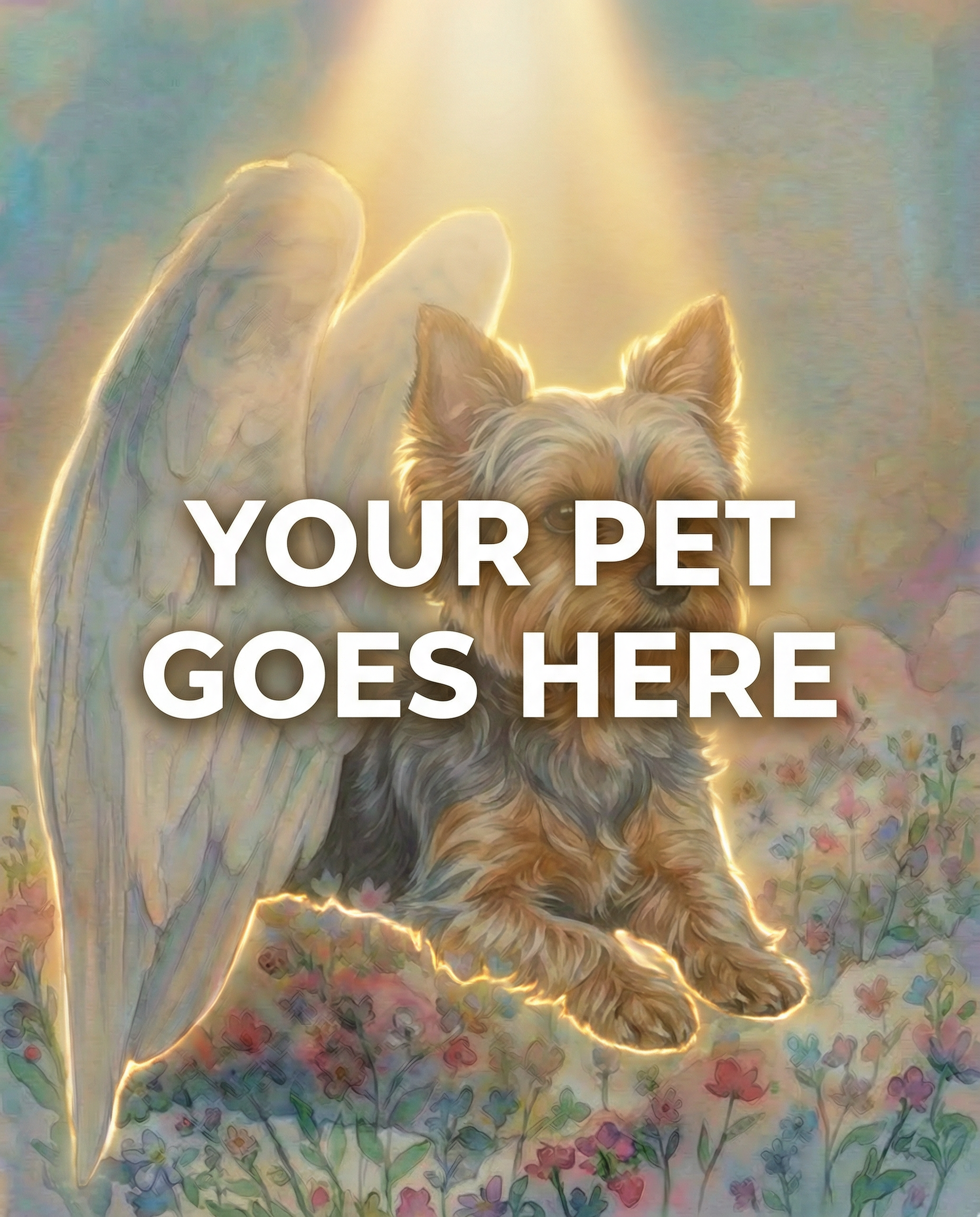 Your Pet Goes Here