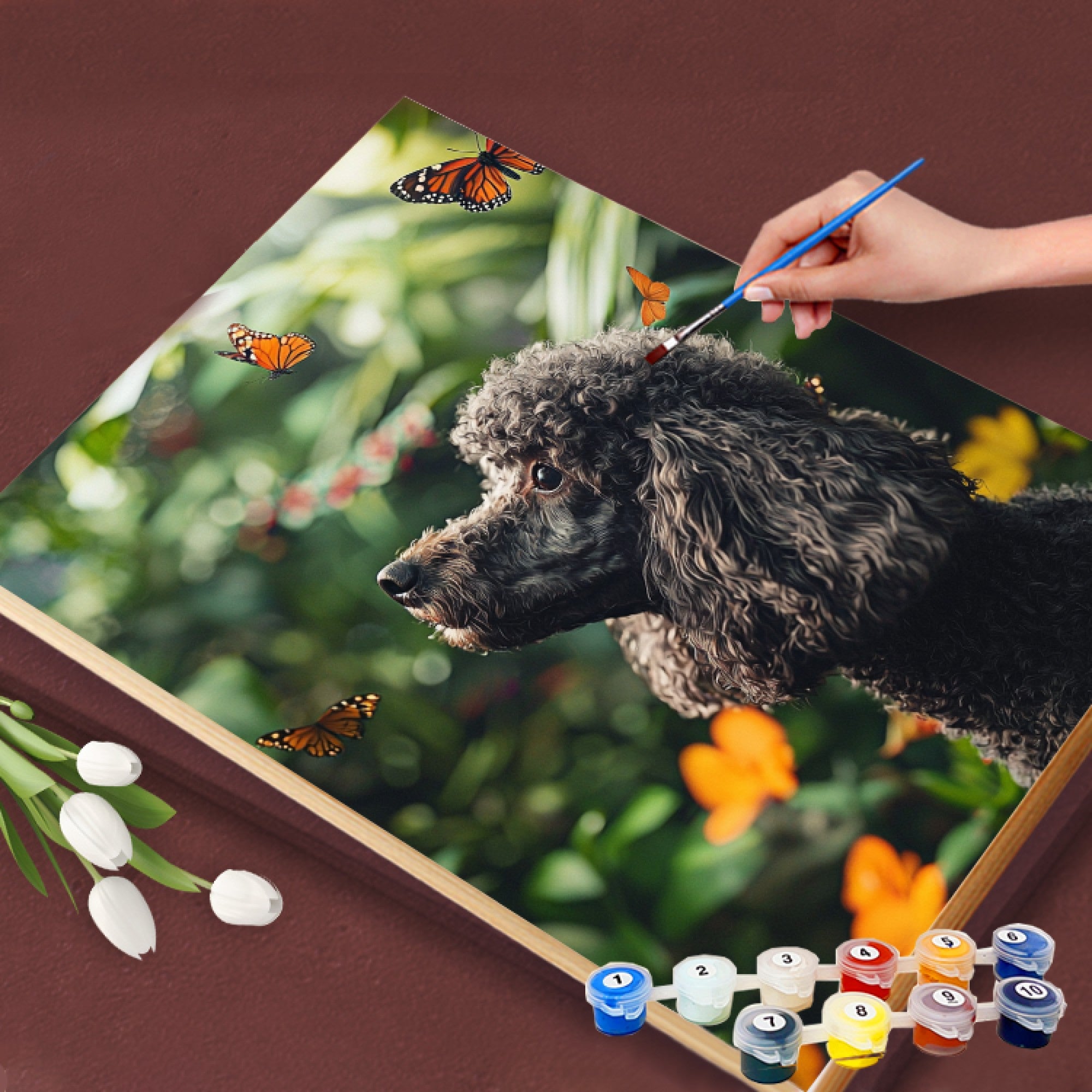 Butterfly Garden Gaze