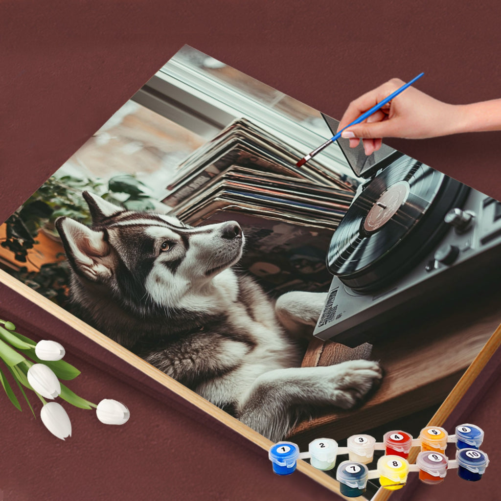Vinyl Vibes