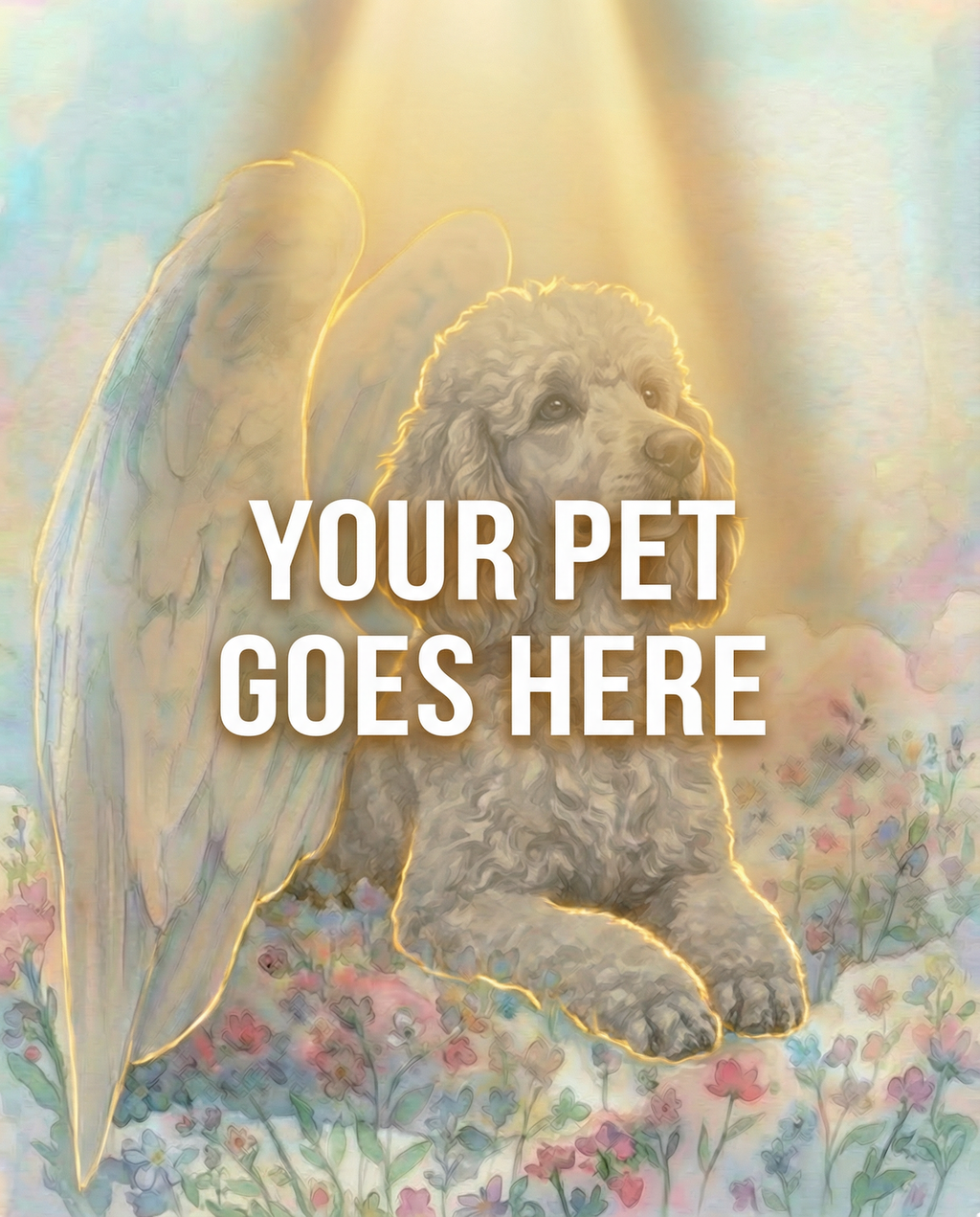 Your Pet Goes Here