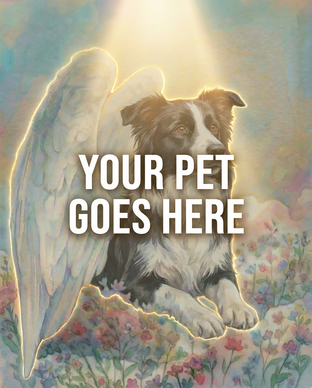 Your Pet Goes Here