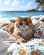 Caribbean Daydream