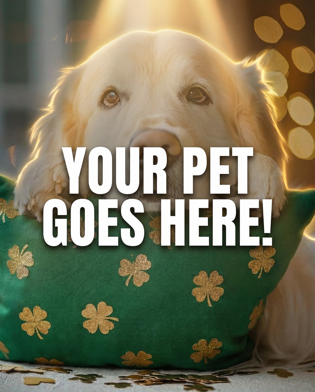 Your Pet Goes Here