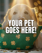 Your Pet Goes Here
