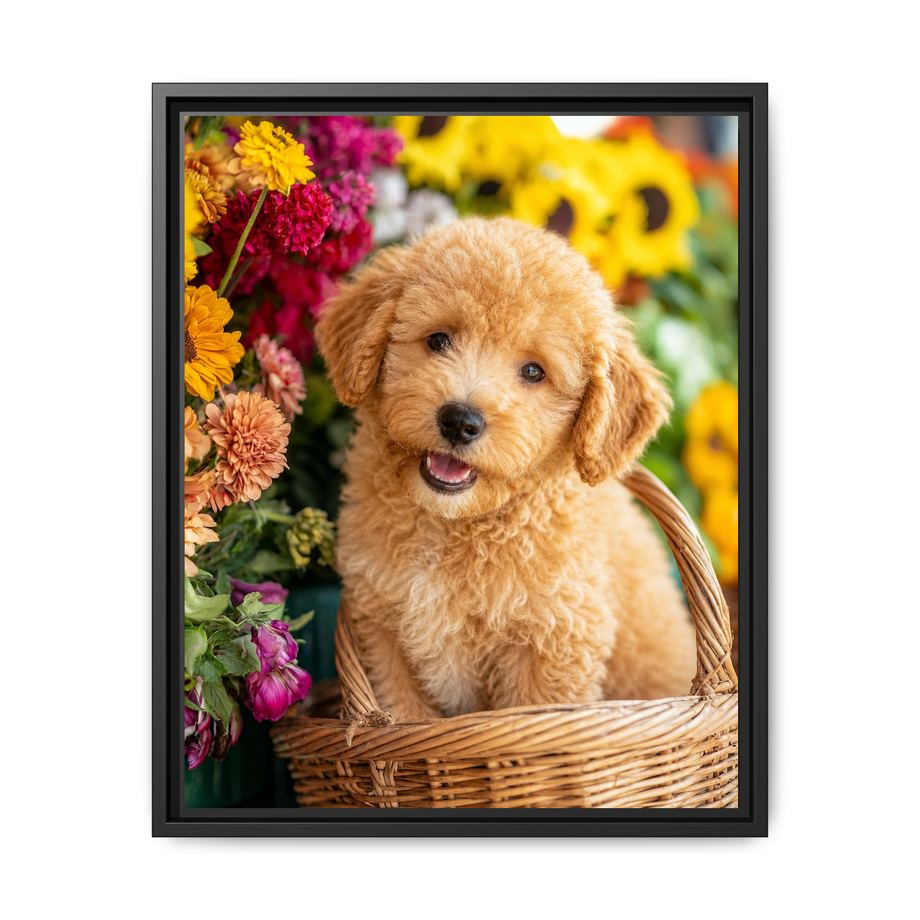 Framed 16x20 Black front