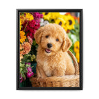Framed 16x20 Black front