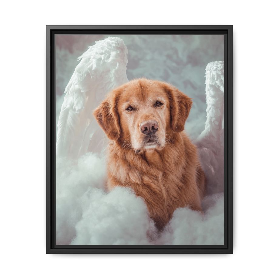 Framed 16x20 Black front