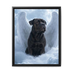 Framed 16x20 Black front