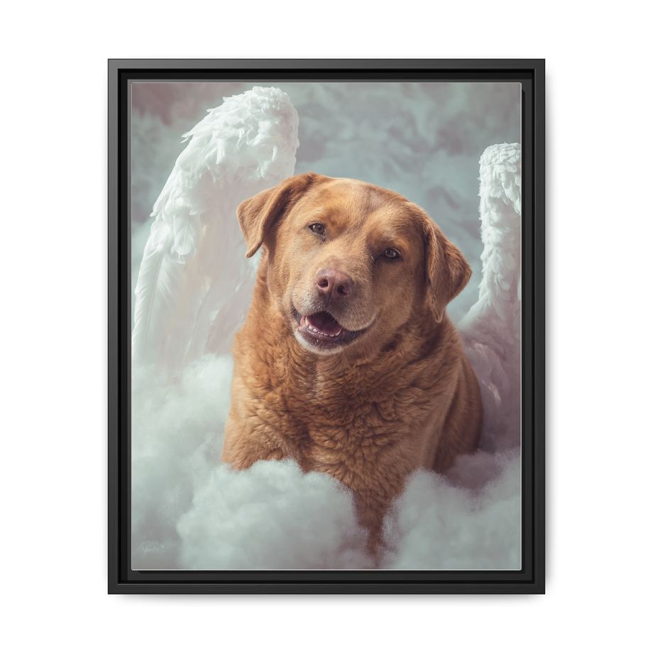 Framed 16x20 Black front