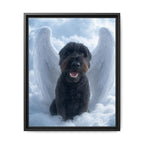 Framed 16x20 Black front