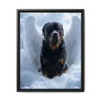 Framed 16x20 Black front