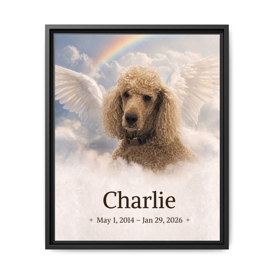 Framed 16x20 Black front