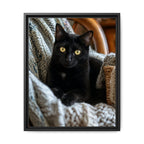 Framed 16x20 Black front
