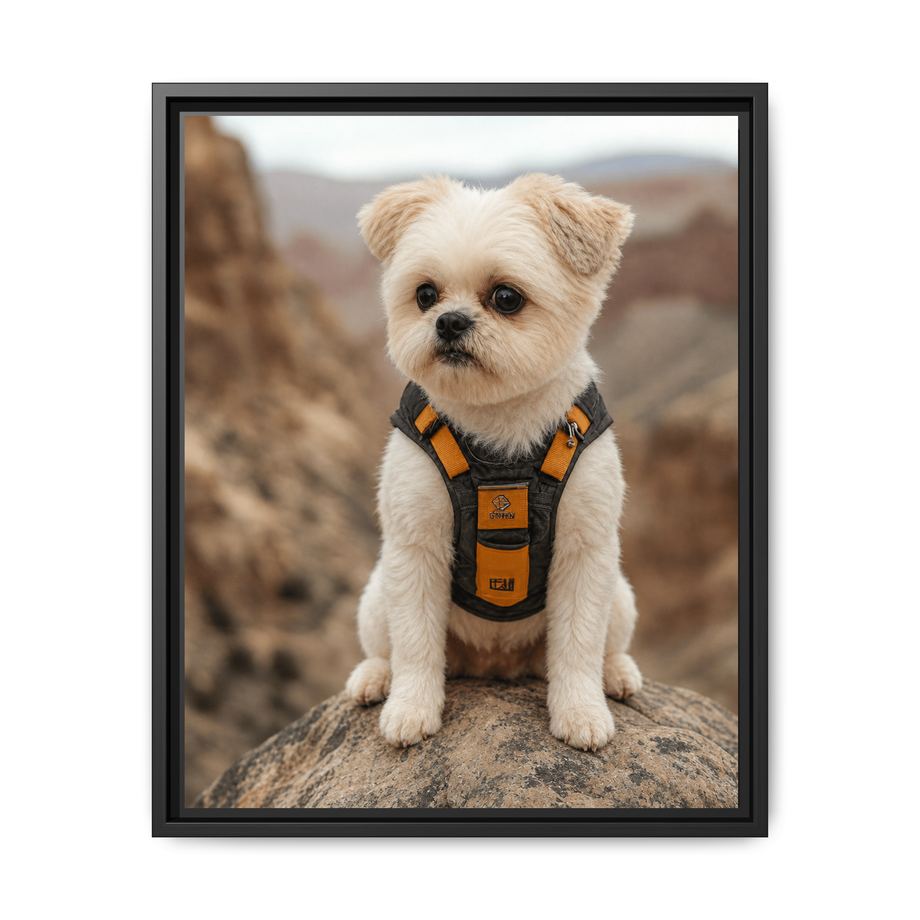 Framed 16x20 Black front