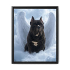 Framed 16x20 Black front