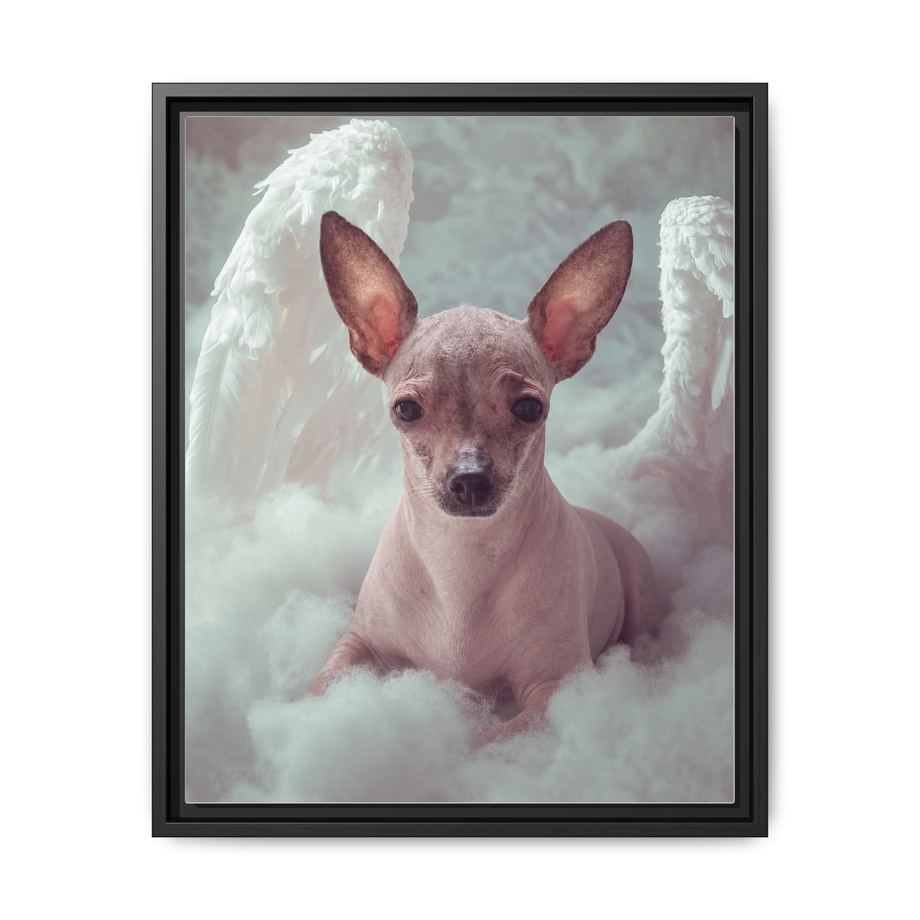 Framed 16x20 Black front