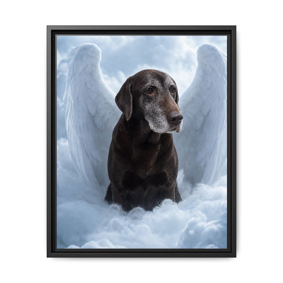 Framed 16x20 Black front