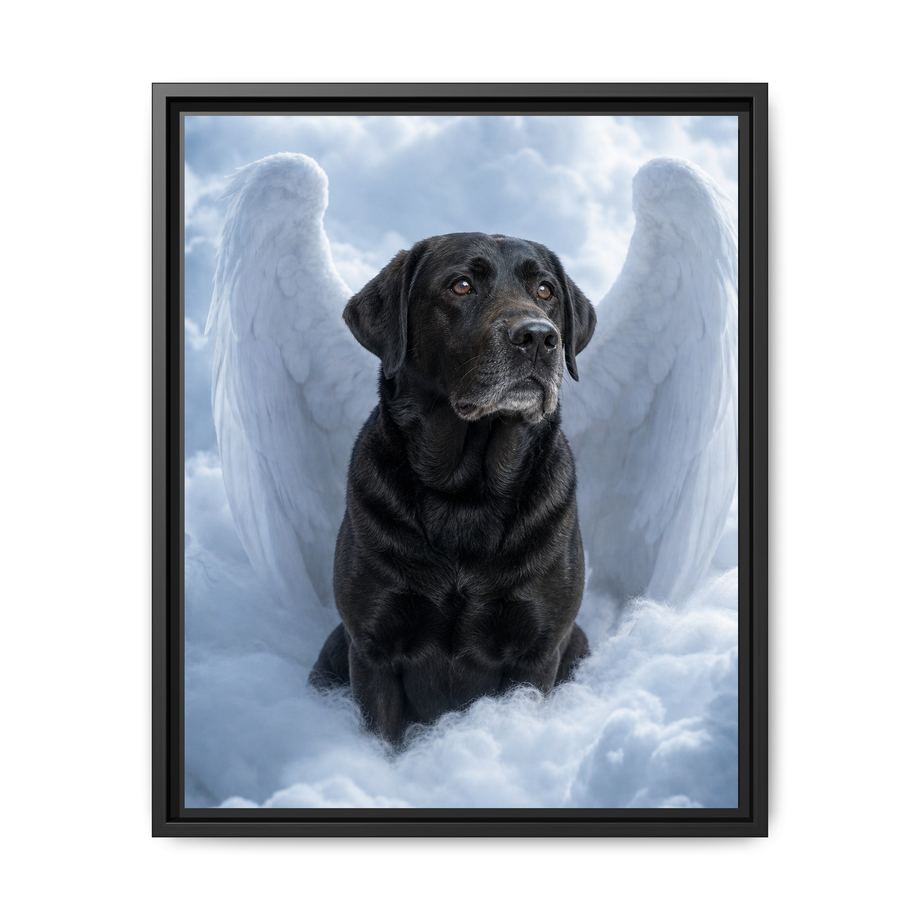 Framed 16x20 Black front