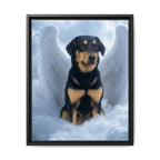 Framed 16x20 Black front