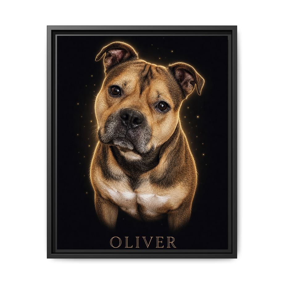 Framed 16x20 Black front