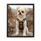 Framed 16x20 Black front