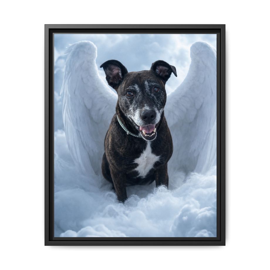 Framed 16x20 Black front