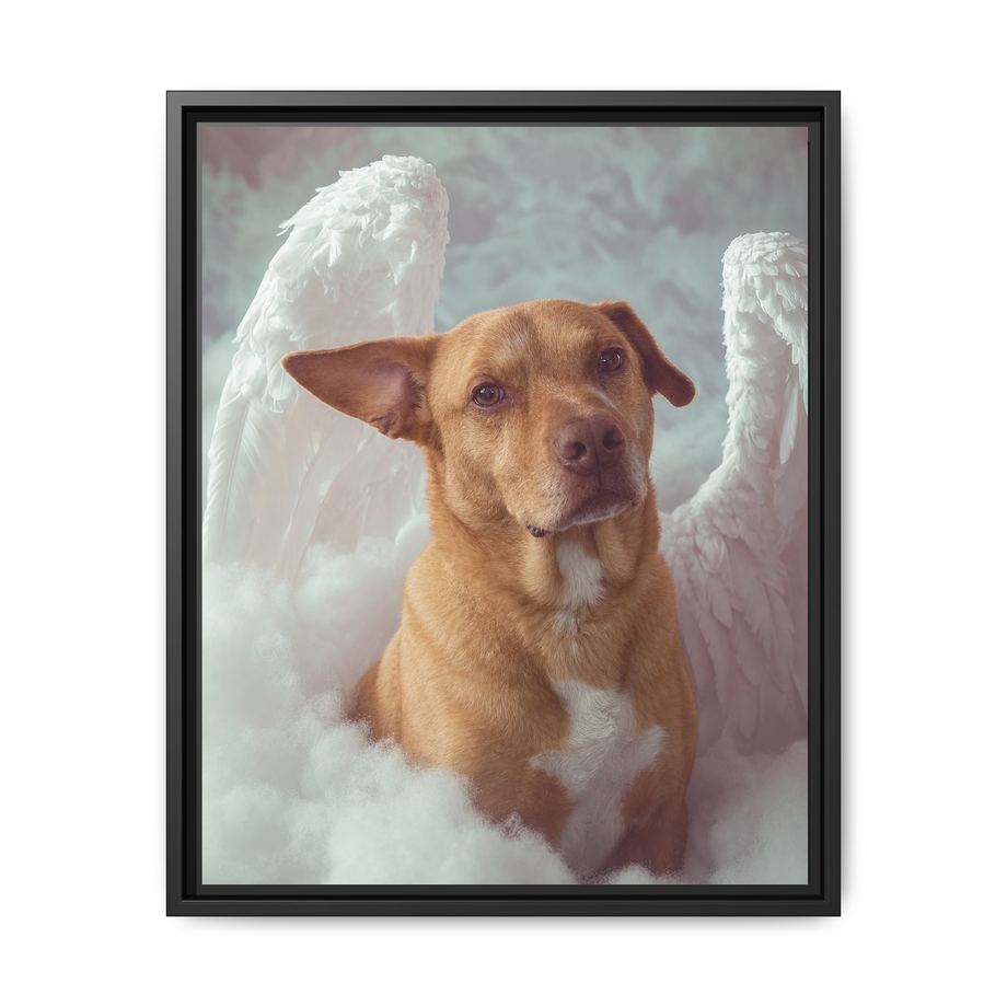 Framed 16x20 Black front