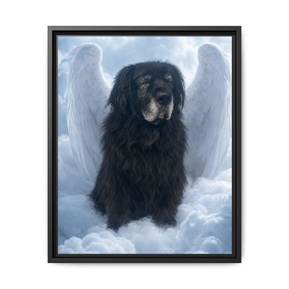 Framed 16x20 Black front