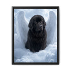 Framed 16x20 Black front