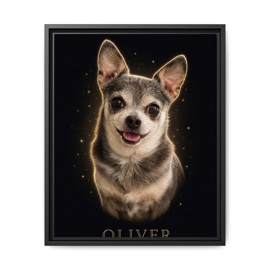 Framed 16x20 Black front