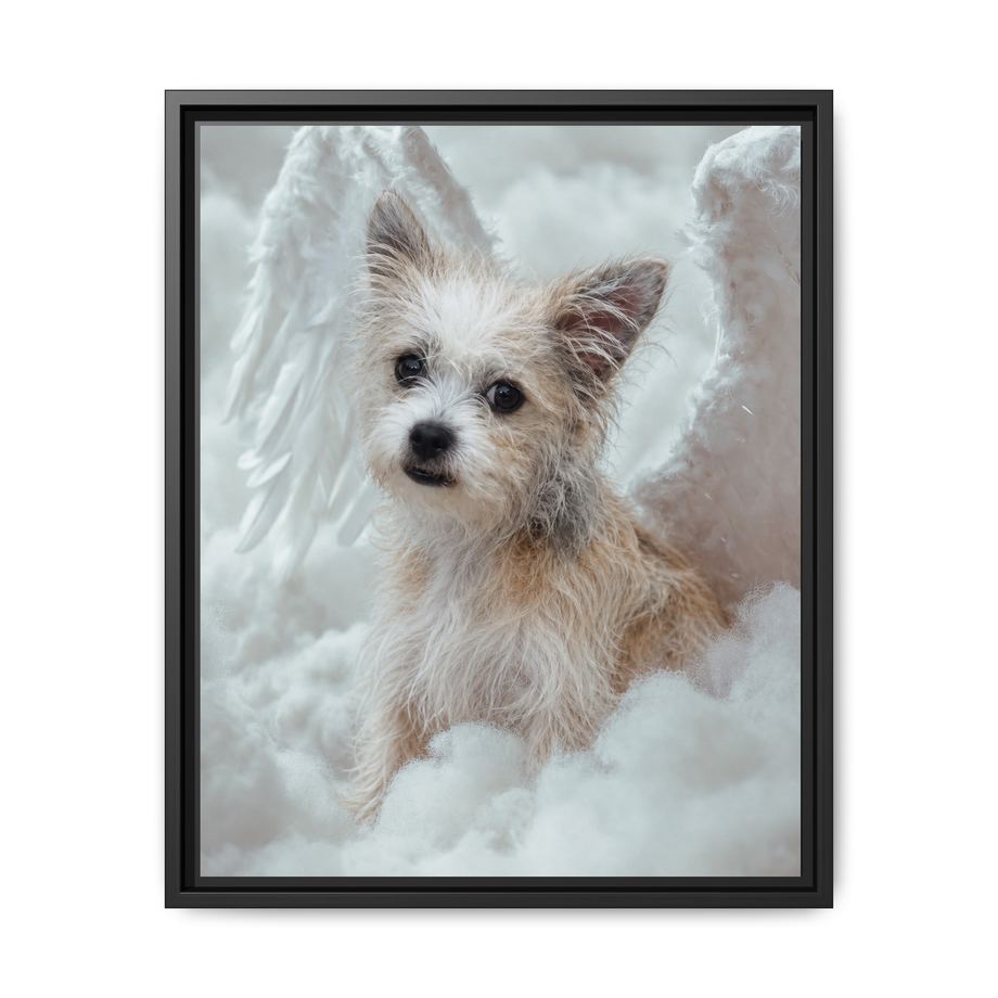 Framed 16x20 Black front