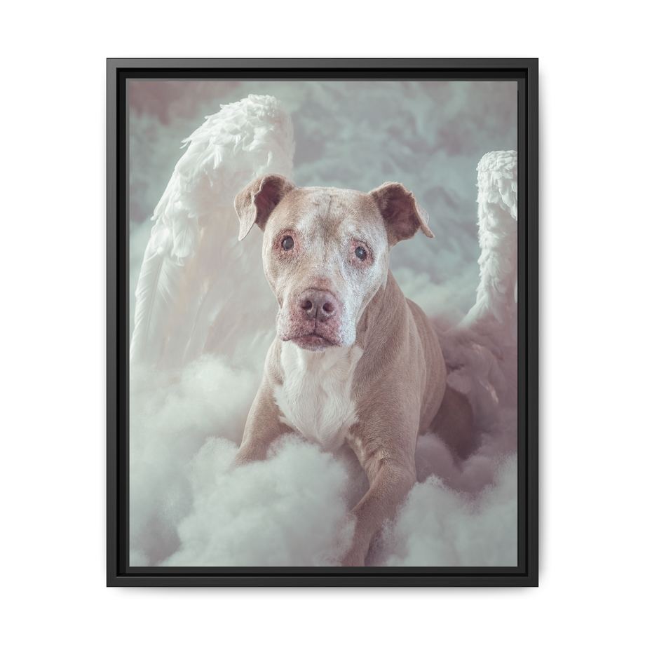 Framed 16x20 Black front