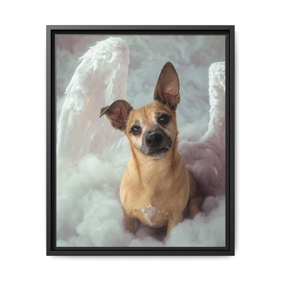 Framed 16x20 Black front