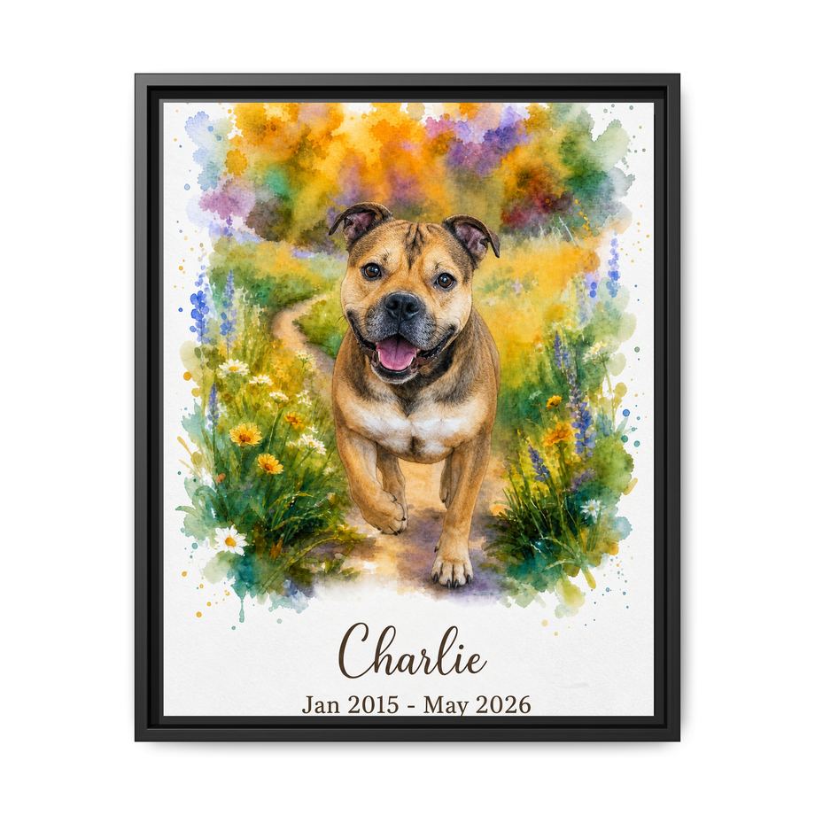 Framed 16x20 Black front