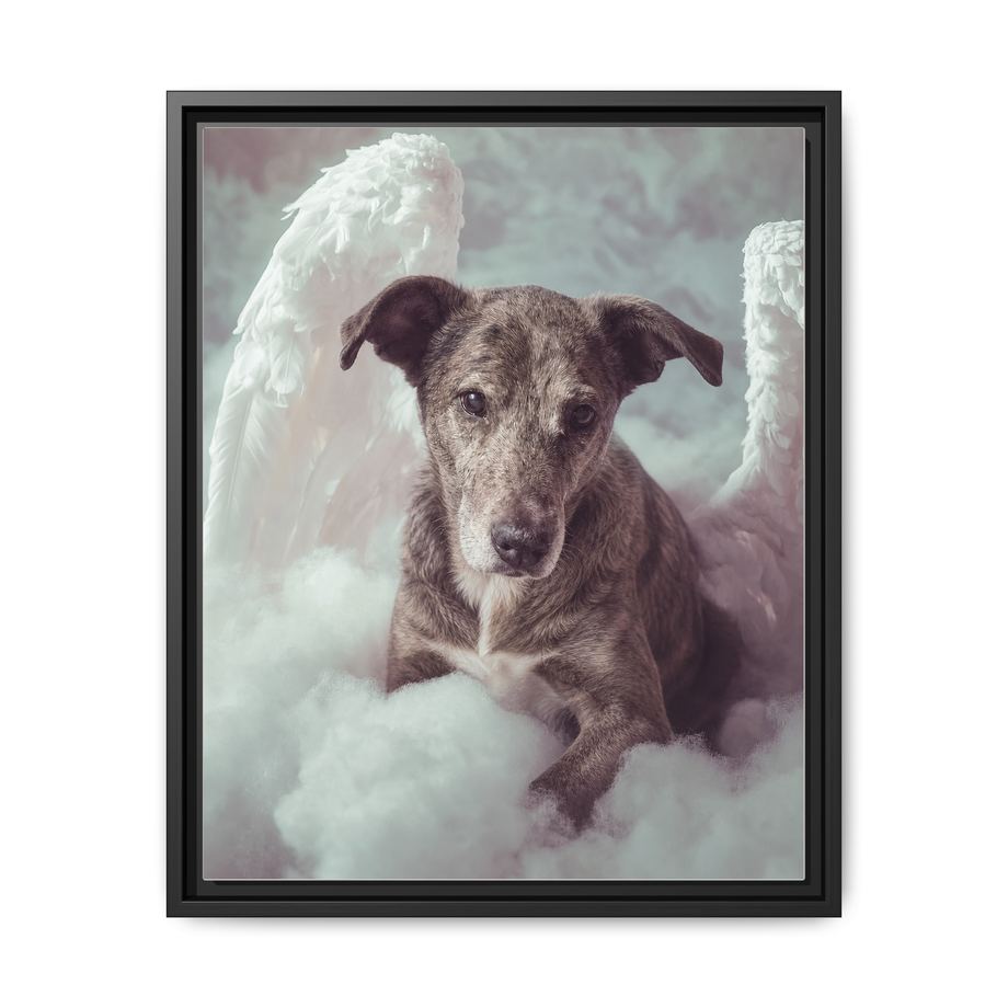 Framed 16x20 Black front